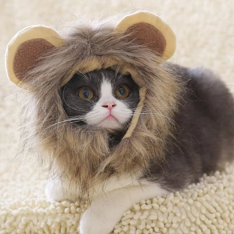 Cat Lion Head Pet Hair Decoration Cute and Funny Lion Ear Wig Hat Halloween Costume Fancy Hat Pet Headwear Hat Decorative Produc
